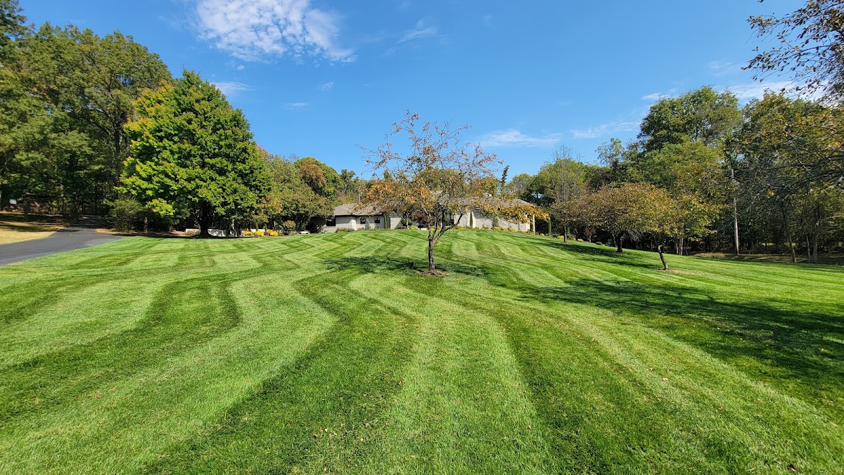 Freshly mowed striped lawn with trees in Springfield